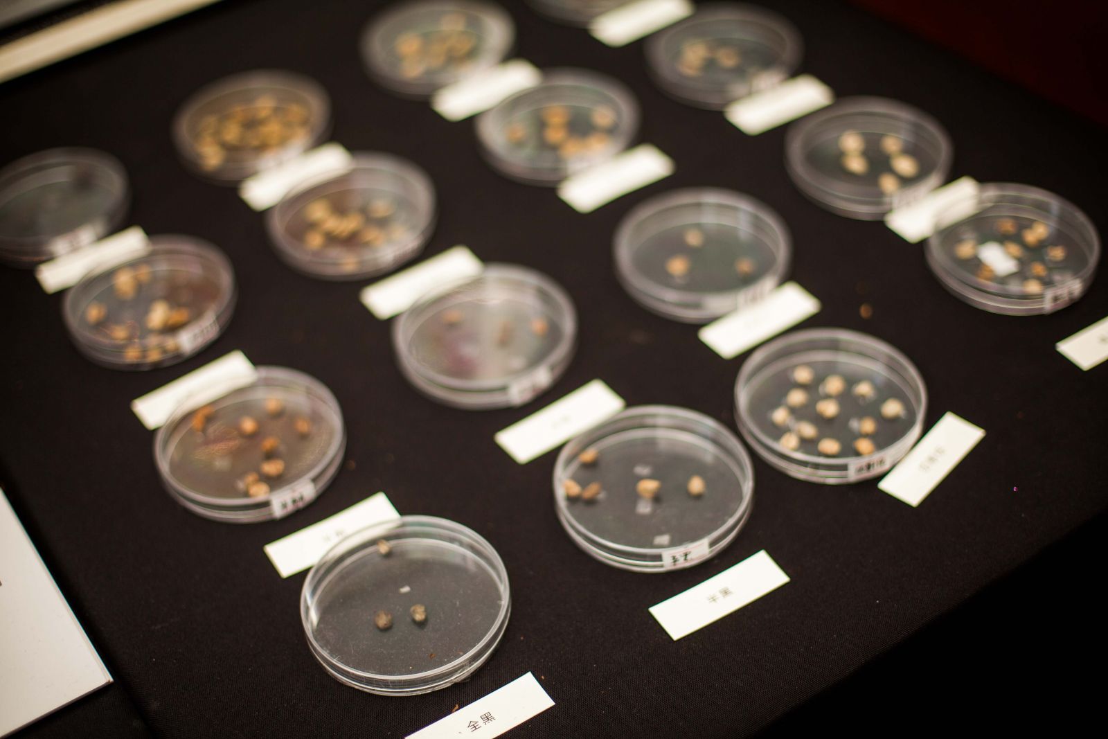 【案例】(廈門)2013咖啡生活集 杭州會(huì)議服務(wù),杭州會(huì)議旅游,杭州會(huì)議場(chǎng)地,杭州會(huì)議接待,杭州伍方會(huì)議服務(wù)有限公司